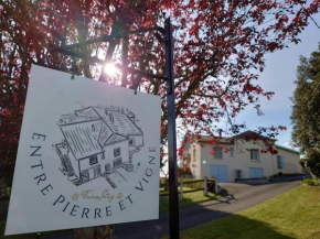 Entre Pierre et Vigne - Charming former Winery Farmhouse with Hot Tub & Swimming Pool